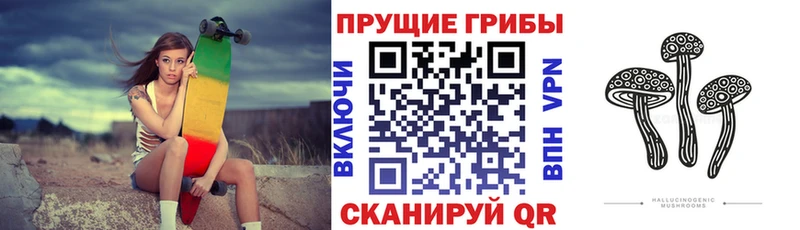 Псилоцибиновые грибы прущие грибы  Салаир 